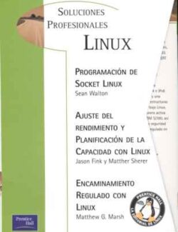 programacion de socket linux sean walton