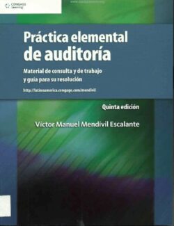 practica elemental de auditoria victor manuel mendivil 5ta edicion