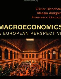 macroeconomics a european perspective blanchard amighini giavazzi 1st edition