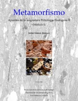 Metamorfismo – Javier Gómez – 1ra Edición