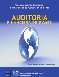 auditoria financiera de pymes samuel mantilla 1ra edicion
