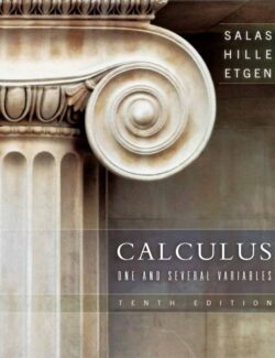 calculus one and several variables salas hille etgen 10th edition