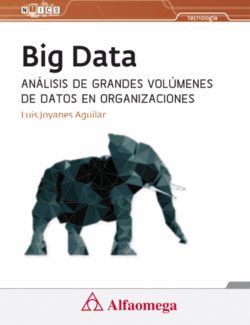 big data luis joyanes