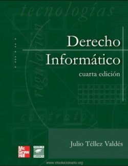 Derecho Informático – Julio Téllez Valdés – 4ta Edición