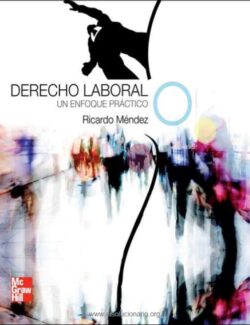 Derecho Laboral: Un Enfoque Práctico – Ricardo Méndez – 1ra Edición