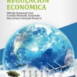 Teoría de la Regulación Económica - Alfredo Dammert